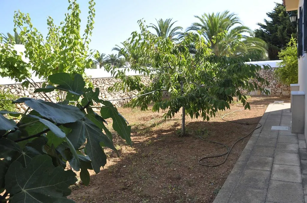 Villa Francisca 사 칼레타 0*,  스페인
